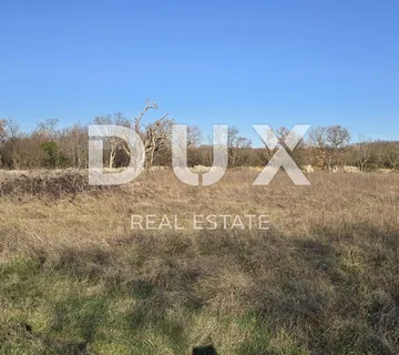 ISTRA, BALE - Prostrano građevinsko zemljište, idealno za investiciju - cover