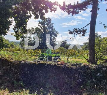 ISTRA, GRAČIŠĆE - Kompleks zemljišta na top lokaciji prekrasnog pogleda  - cover