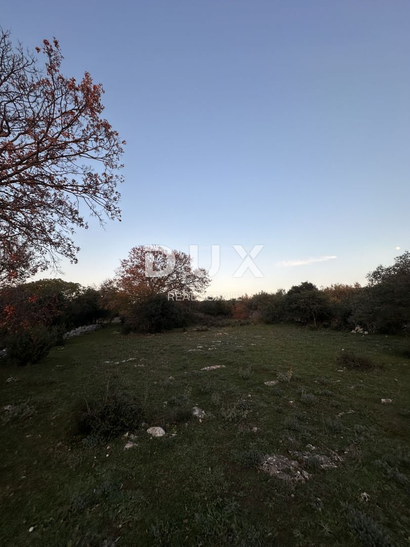 Fotografija