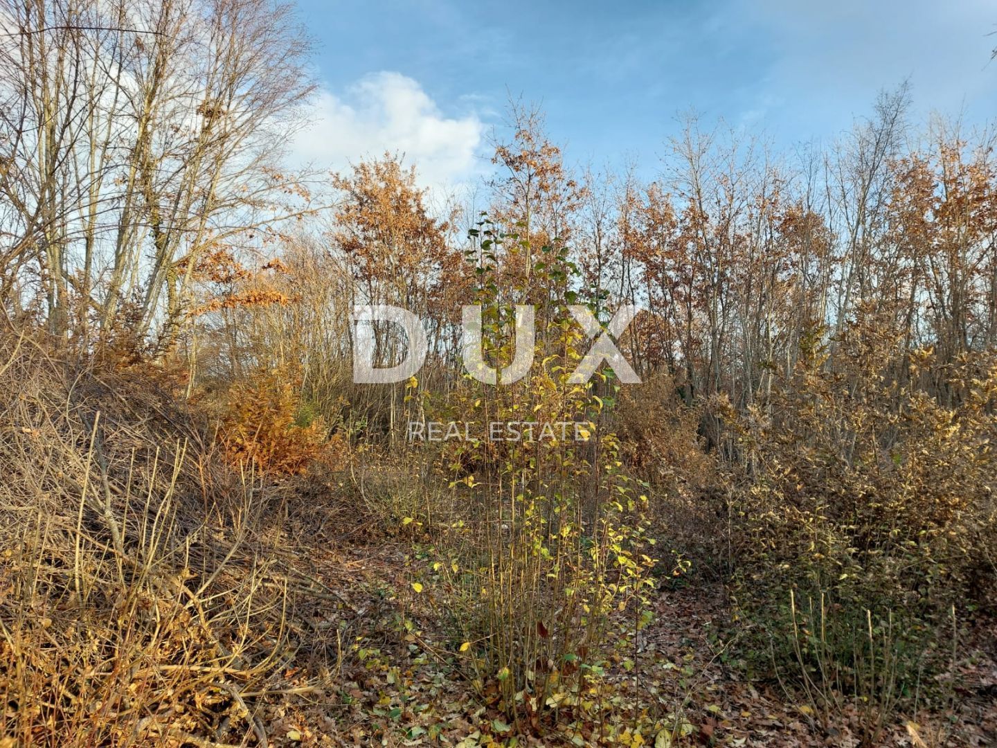 Fotografija