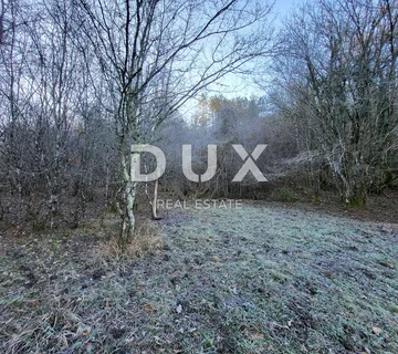 ISTRA, BUZET - Prostrano poljoprivredno zemljište  - cover