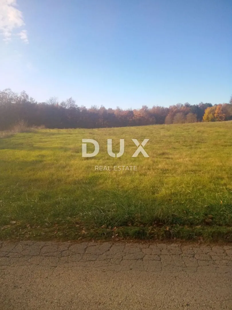 Fotografija
