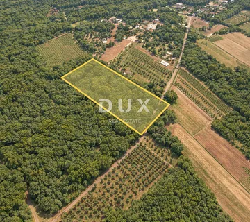 ISTRA, MARČANA – Zanimljivo poljoprivredno zemljište - cover