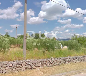 ZADAR, PRIDRAGA - PRILIKA! Maslinik na građevinskom terenu - cover