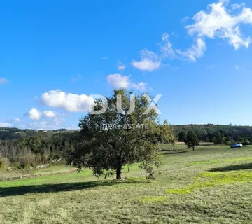 ISTRA, TINJAN - Kombinacija građevinskog i poljoprivednog terena! - cover