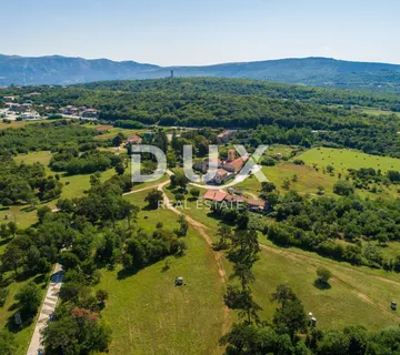 ISTRA, LABIN (OKOLICA) - Poljoprivredno zemljište obraslo šumom 2,9ha - cover