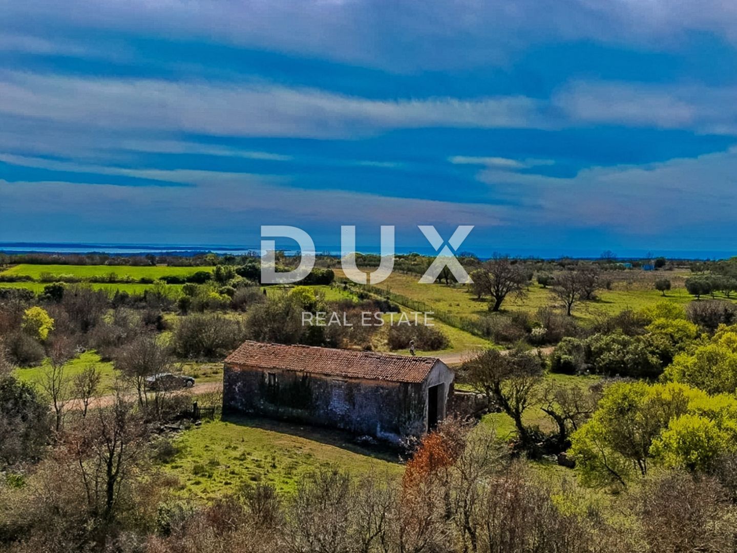 Fotografija