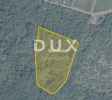 ISTRA, BALE - Poljoprivredno zemljište od 13408 m2 s fantastičnim pogledom - cover