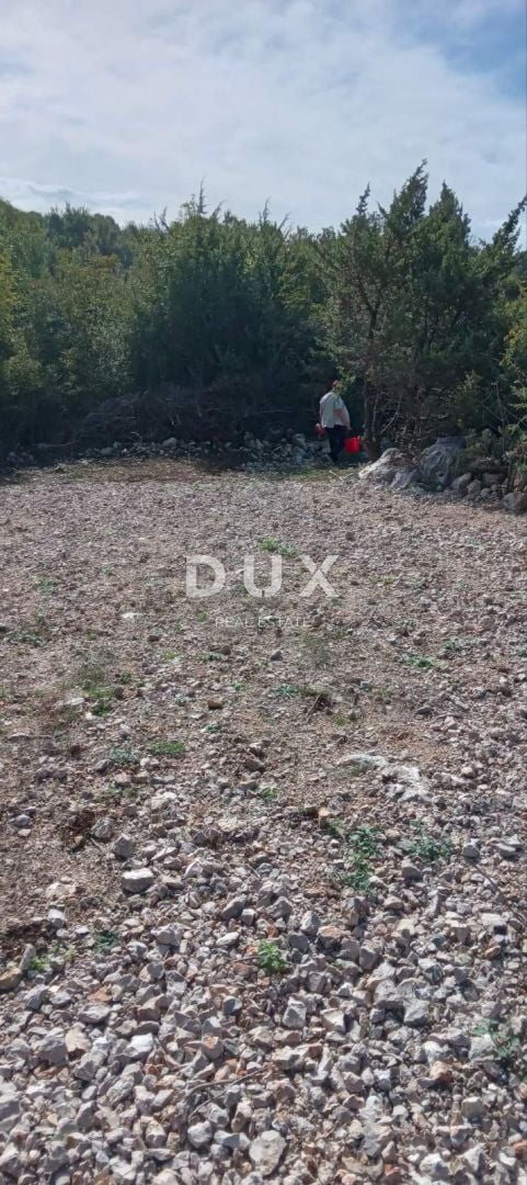 Fotografija