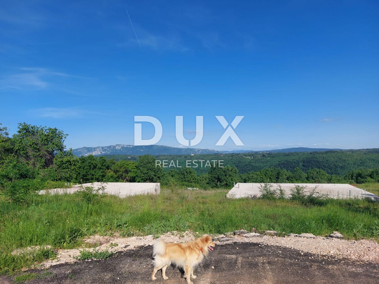 Fotografija