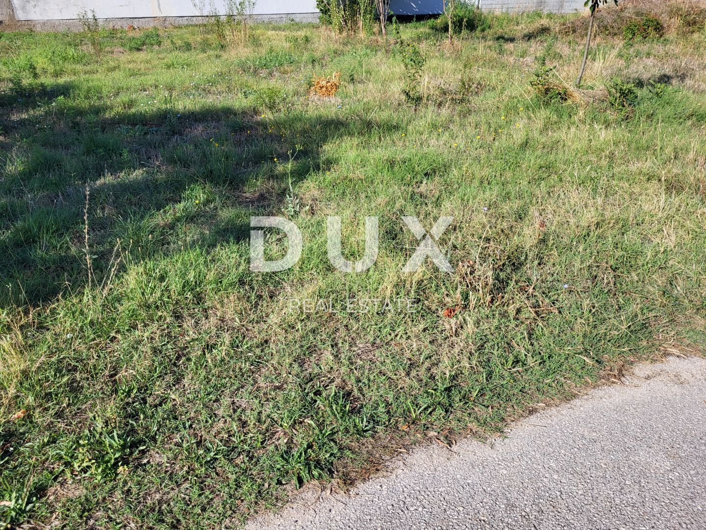 Fotografija