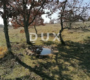 ISTRA, VIŠNJAN - Poljoprivredno zemljište, šuma - cover
