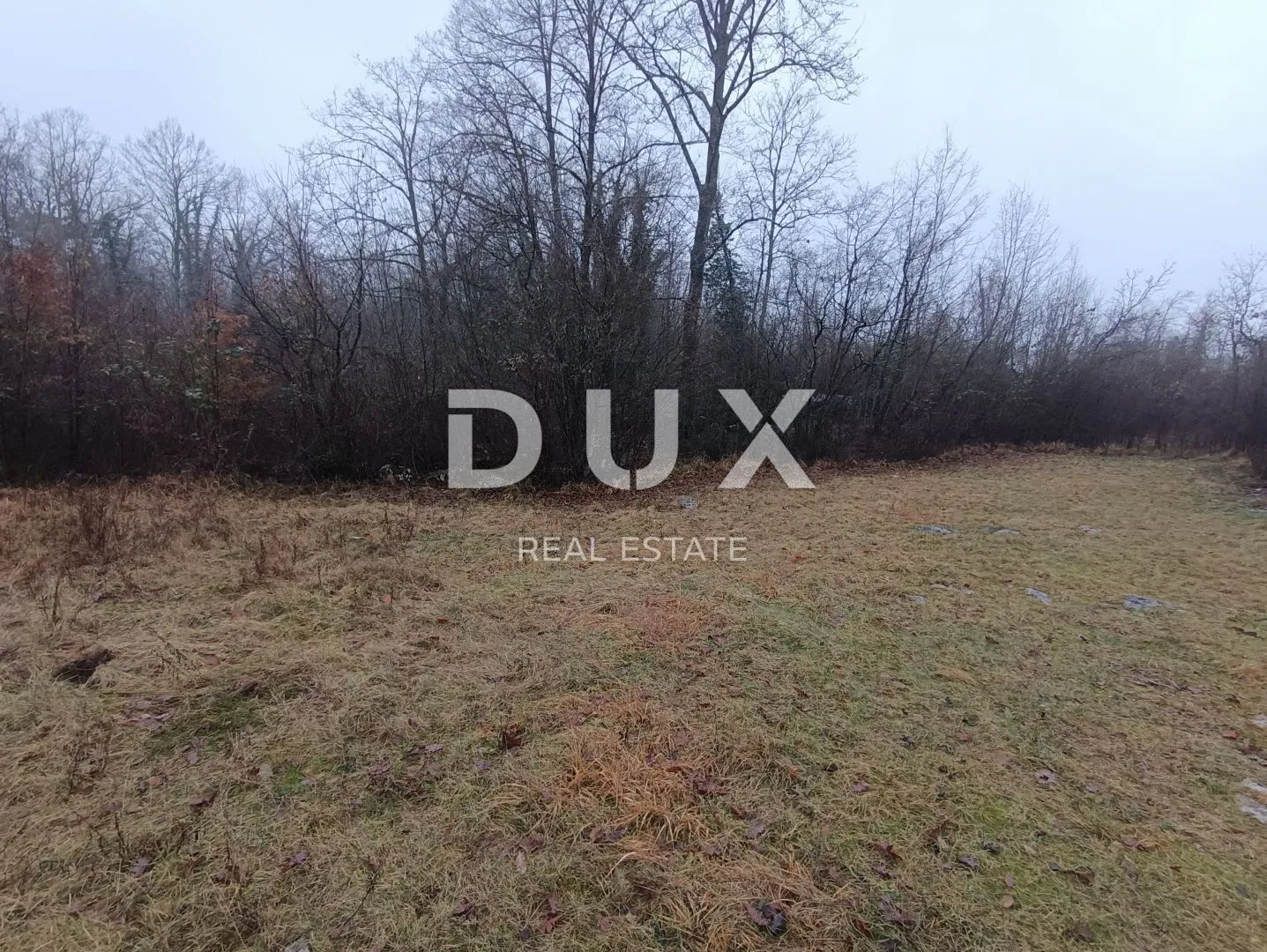 Fotografija