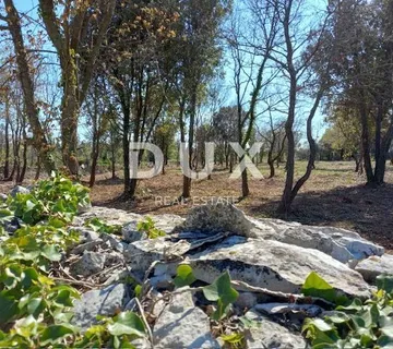 ISTRA, RAKALJ - Građevinsko zemljište sa velikim potencijalom - cover