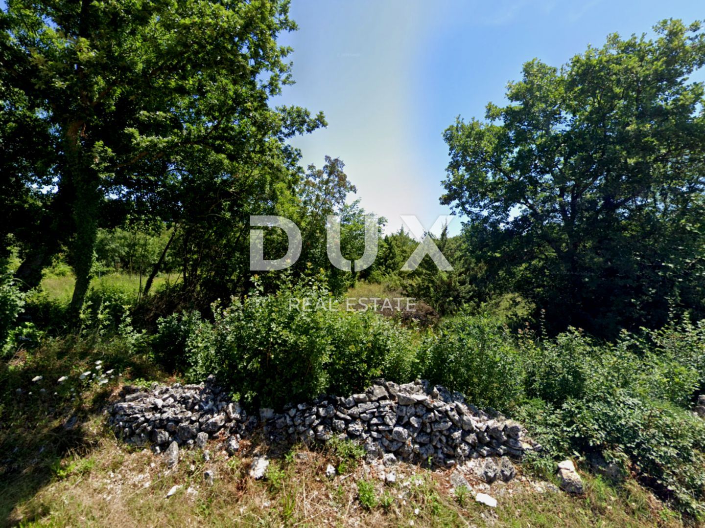 Fotografija