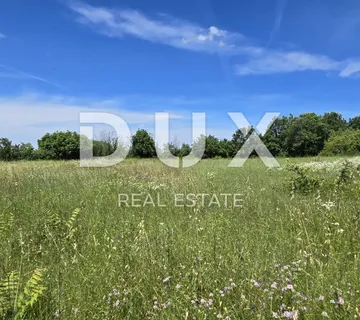 ISTRA, SVETVINČENAT - Kompleks zemljišta od 4522 m2 - cover