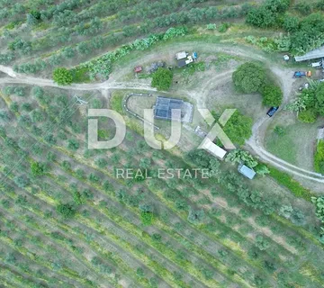 ISTRA, MOTOVUN - Bajkovita prilika za ulaganje u srce Istre, zemljište s kamenim objektom - cover