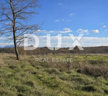 ISTRA, PAZIN - Prostrano građevinsko zemljište na rubu naselja - cover