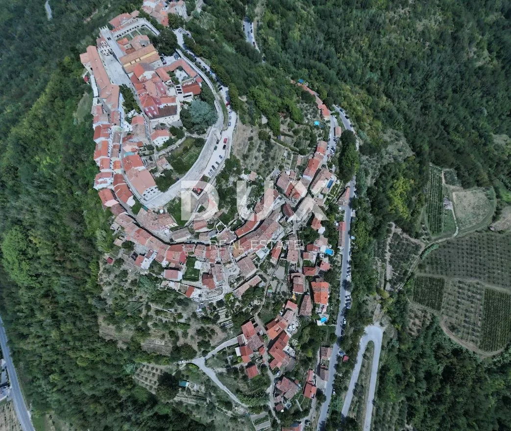 Fotografija