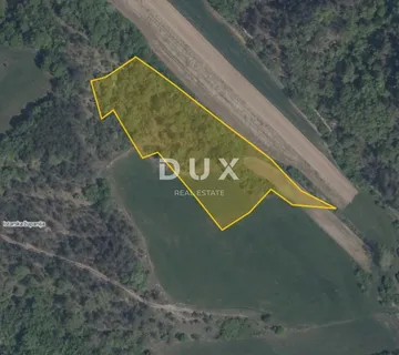 ISTRA, PAZIN, CEROVLJE – Zemljište 8.919 m², oranica, livada i pašnjak - cover