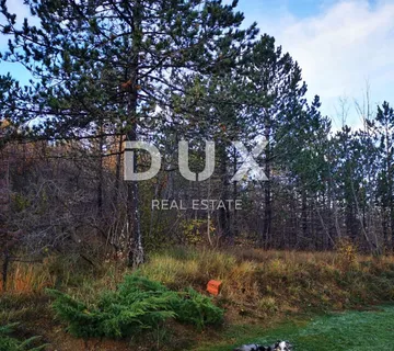 PAZIN, CEROVLJE, PAZ -građevinsko zemljište 4834m2 za stambenu zgradu-stanove -apartmane /obiteljsku kuću/ kuću za iznajmljivanje -odmor s bazenom - cover