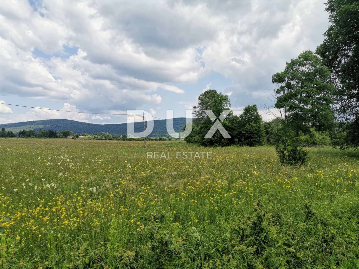 Fotografija