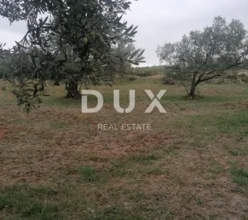 ISTRA, FAŽANA - Poljoprivredno zemljište 1km od mora  - cover