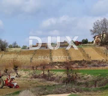 ISTRA, MOTOVUN, OKOLICA - Projekt za izgradnju 4 vile s bazenom - cover