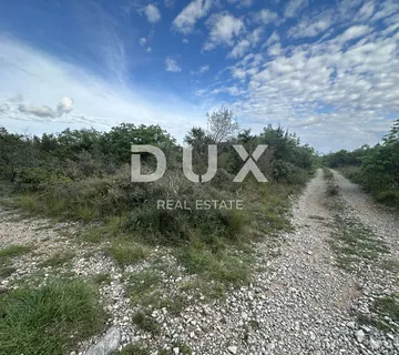 BRIŠEVO, MAZIJA - Poljoprivredno zemljište (šuma) - 8000m² - cover