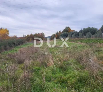 ISTRA, BUZET - Poljoprivredno zemljište s mladim maslinama - cover