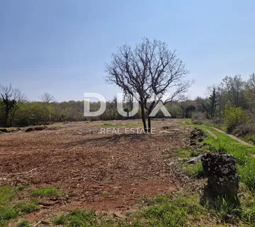 ISTRA, POREČ - Kompleks zemljišta zadnji u zoni gradnje - cover