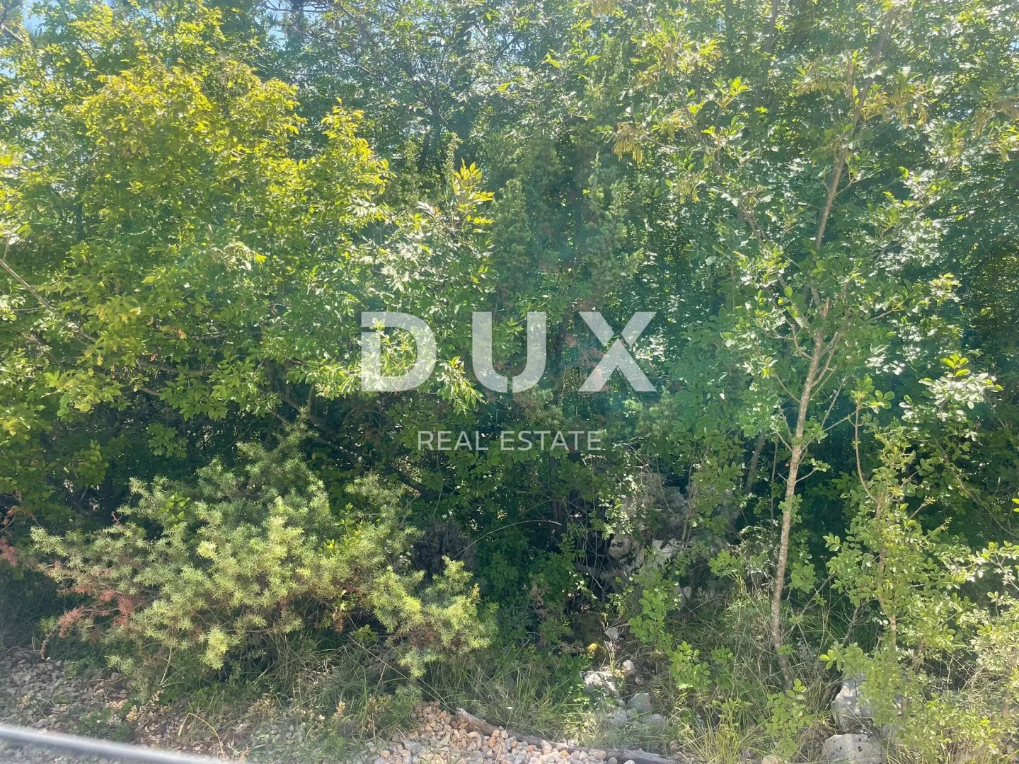 Fotografija