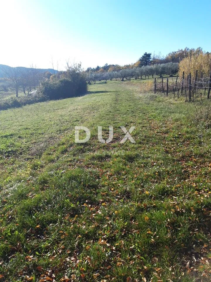 Fotografija