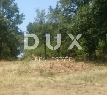 ISTRA- Skitača (Barban)- građ. zemljište - cover