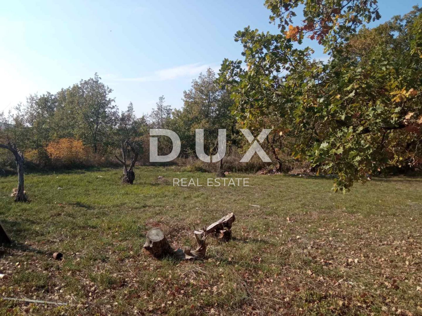 Fotografija