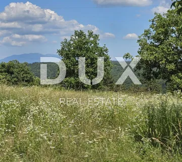 ISTRA, TINJAN - Građevinsko zemljište od 1398 m2 - cover