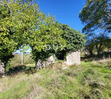 ISTRA, BOLJUN - Kamene starine s 18.000 m2 zemljišta - cover