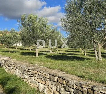 ISTRA, POREČ - Zemljište za gradnju dviju kuća nadomak Svetog Lovreča - mir i autentičnost Istre - cover