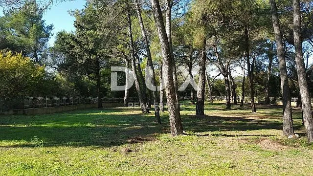 Fotografija