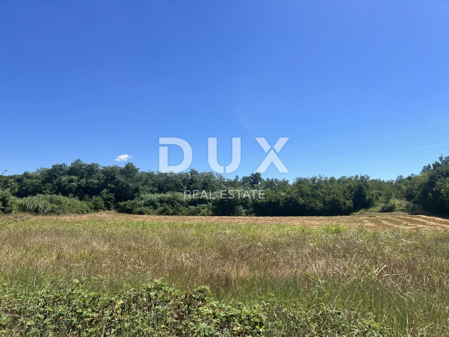 Fotografija