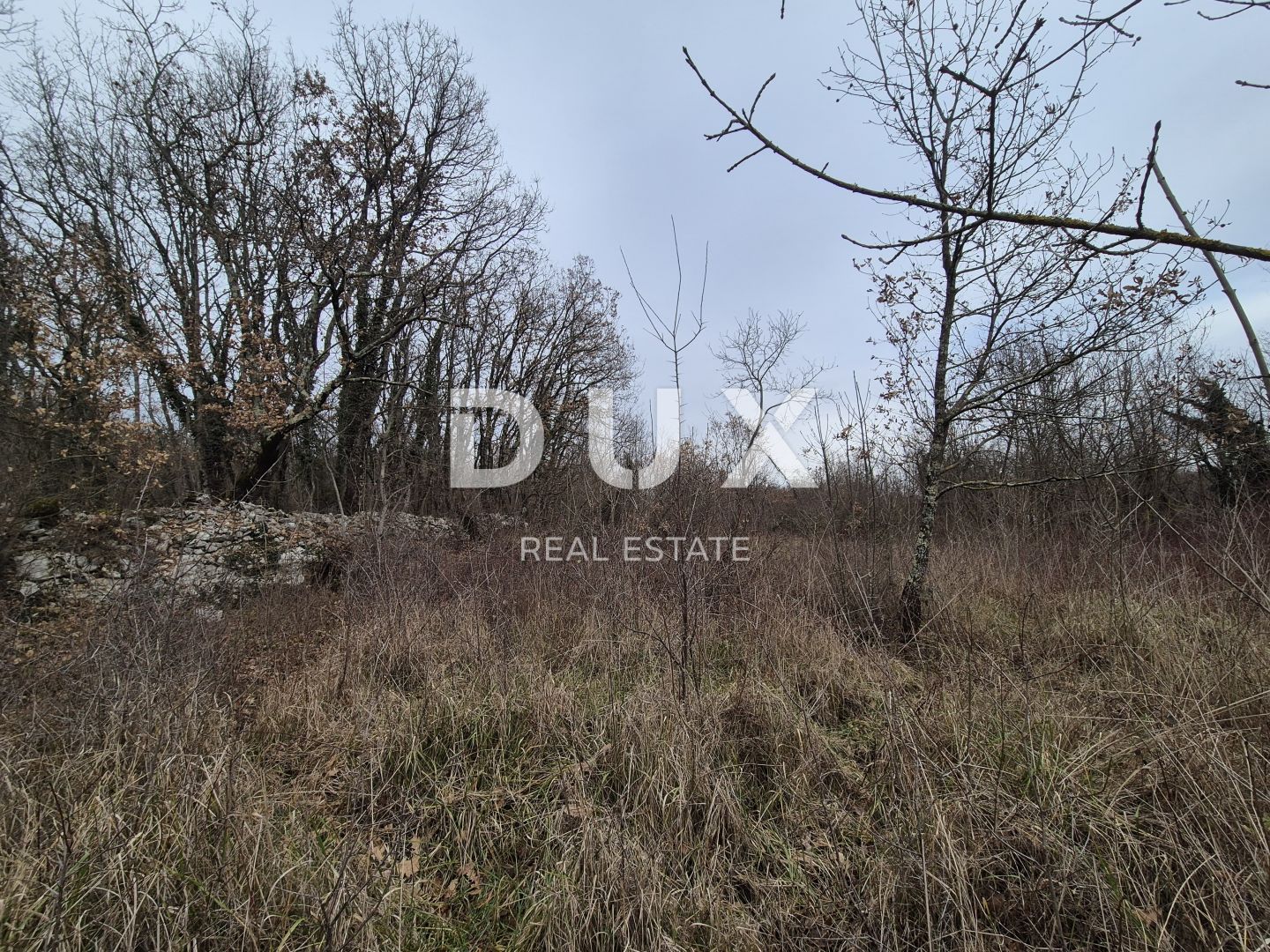 Fotografija