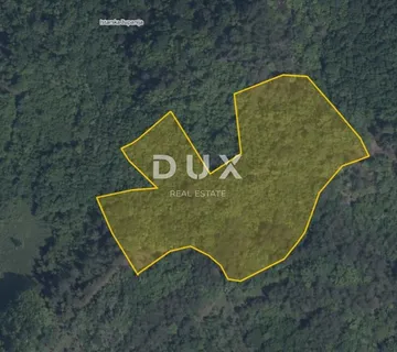 ISTRA, PAZIN, CEROVLJE - Hrastova šuma za sječu - cover