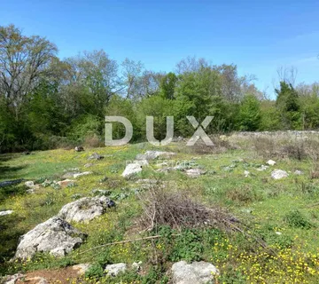 ISTRA, LOVREČ- građevinsko zemljište 1214 m2! PRILIKA, SNIŽENO! - cover