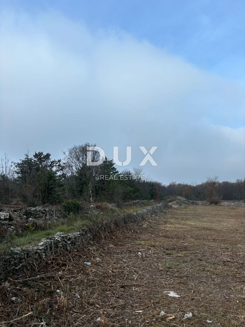 Fotografija