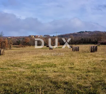 ISTRA, LABIN - Veliko kombinirano zemljište - cover