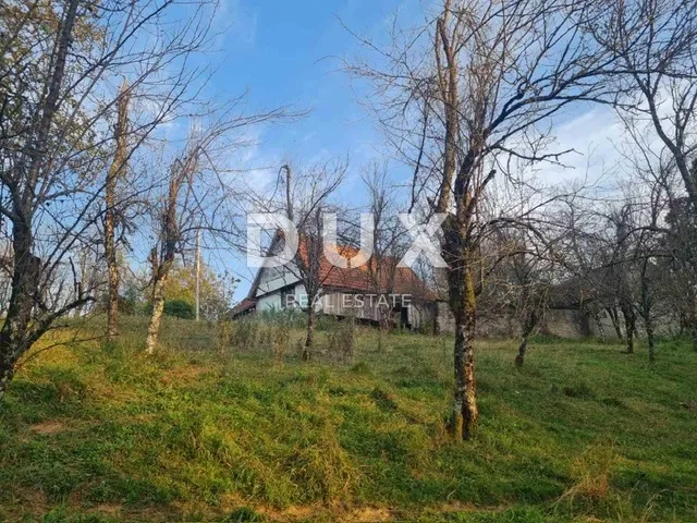 Fotografija