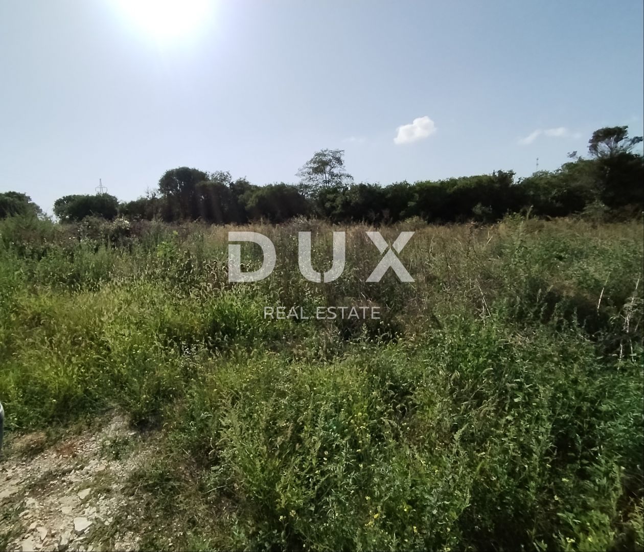 Fotografija