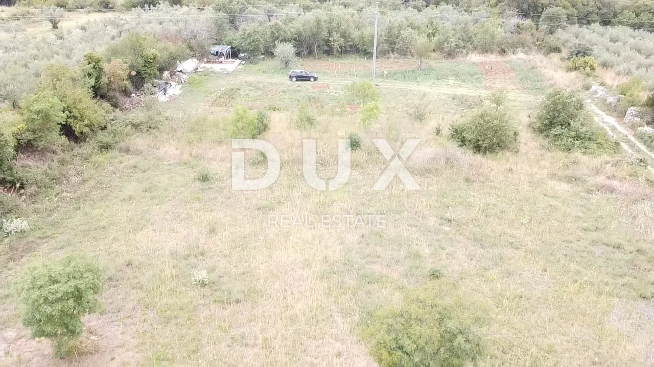 Fotografija