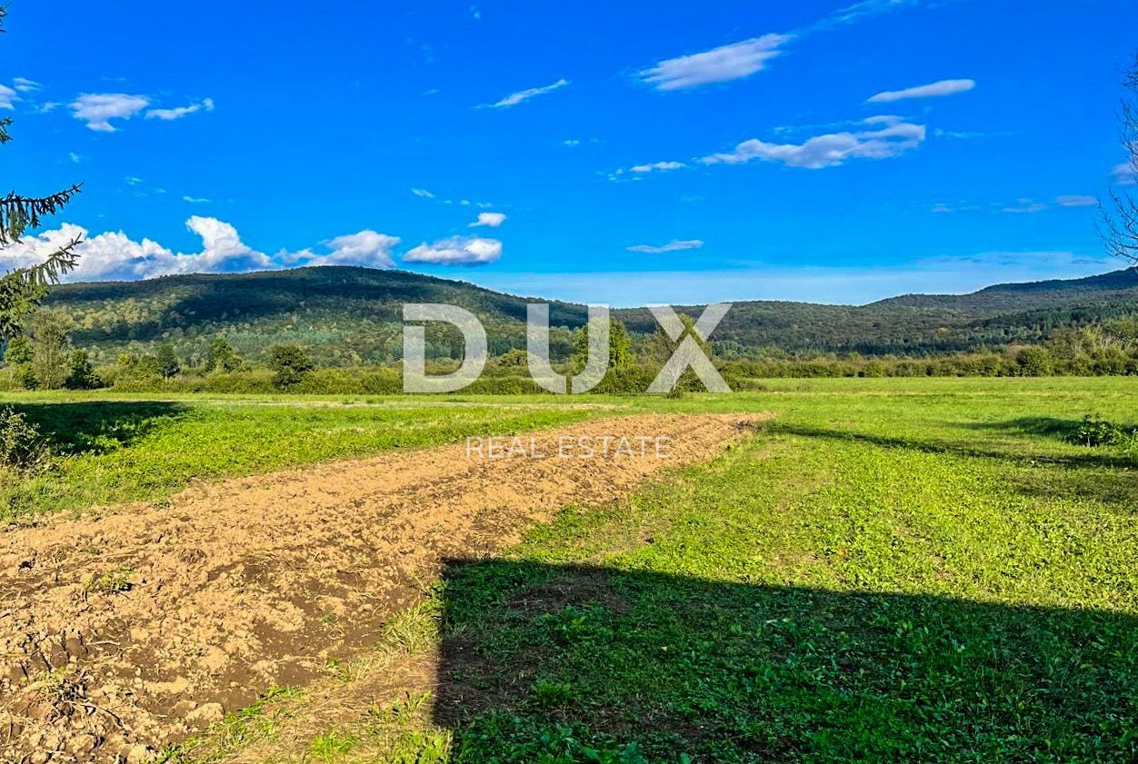 Fotografija