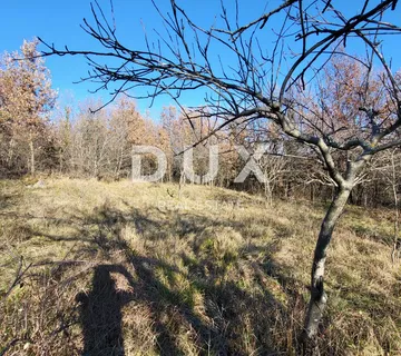 ISTRA, BUZET - Prostrano zemljište na rubu naselja - cover